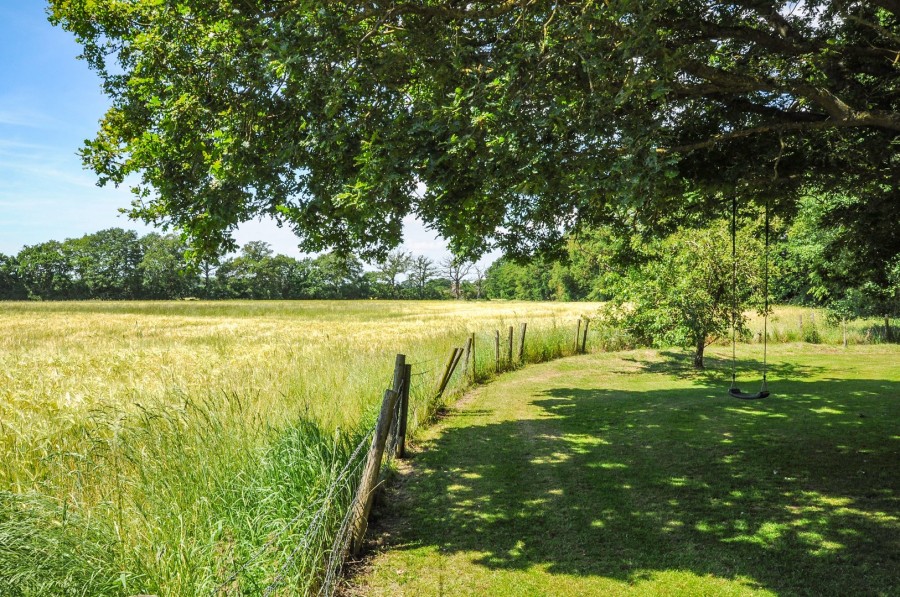 Images for Danbury, Chelmsford, Essex