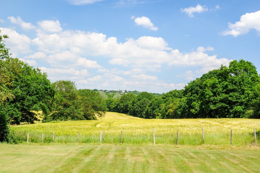 Images for Danbury, Chelmsford, Essex