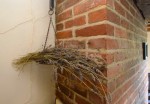 Images for West Hanningfield, Chelmsford, Essex