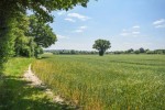 Images for Noak Hill Road, Billericay, Essex