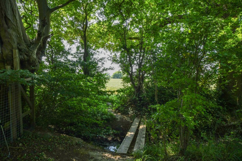 Images for Noak Hill Road, Billericay, Essex