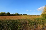 Images for Rettendon Common, Chelmsford, Essex